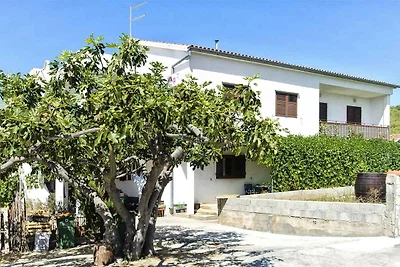 Holiday flat family holiday Tribunj