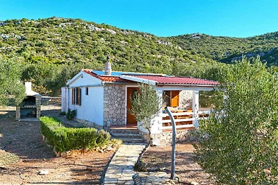 Ferienhaus mit Grill, am Meer