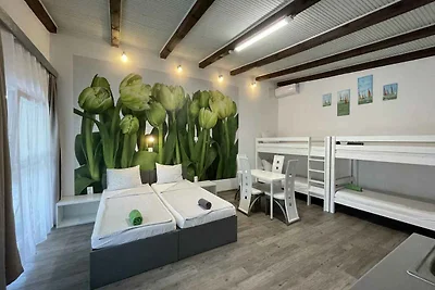 Studio in der Nähe vom Wasser mit grosser Ter