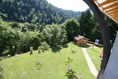Vakantieappartement Gezinsvakantie Todtmoos