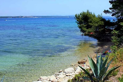 Appartamento Vacanza con famiglia Pašman, Tkon