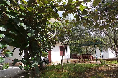 Ferienwohnung mit Terrasse, nur 30m vom Meer