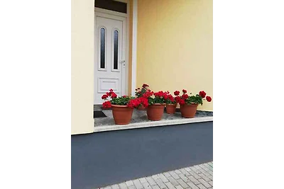 Vakantiehuis Ontspannende vakantie Balatonbereny