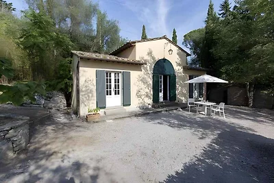 Ferienhaus umgeben von Olivenhaien und