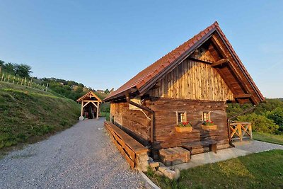 Casa vacanze Vacanza di relax Slovenia