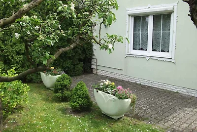 Ferienhaus 250 m vom Strand mit Internet