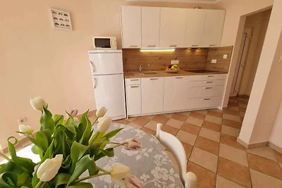 Appartamento Vacanza con famiglia Crikvenica