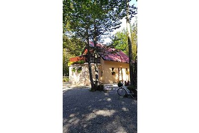 Ferienhaus Ein angenehmes Einfamilienhaus in 