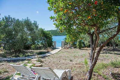 Ferienhaus mit Grill, am Meer