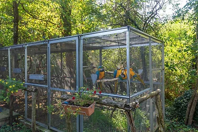 Villa Vier Eichen – Ein ruhiger Rückzugsort i