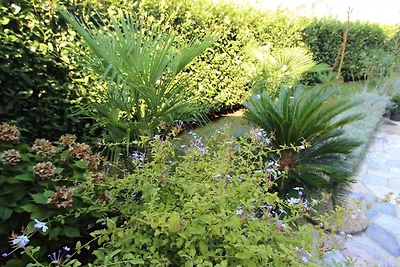 Ferienwohnung mit Klimaanlage und Meerblick