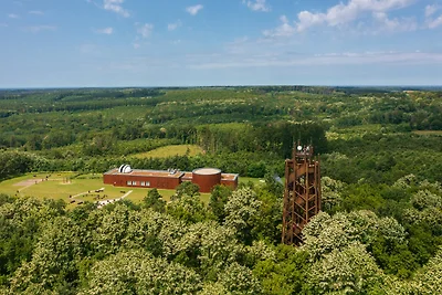 Vakantiehuis Ontspannende vakantie Buzsak