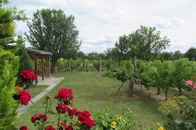Casa vacanze Vacanza di relax Csopak