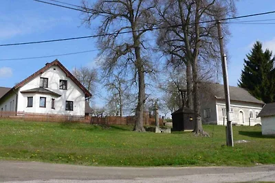 Vakantiehuis Ontspannende vakantie Turnov