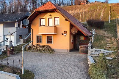 Ferienhaus in the vineyards