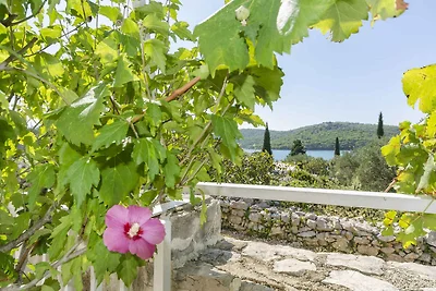 Appartamento Vacanza con famiglia Tisno