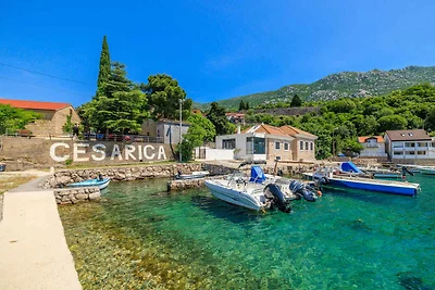 Ferienwohnung am Meer