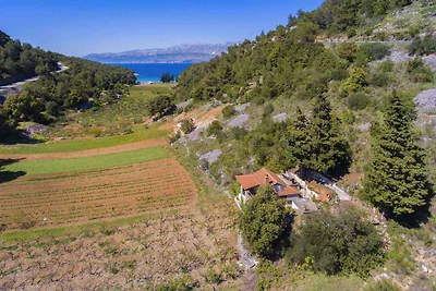 Ferienhaus mit Garten und Grill