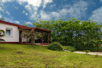 Bungalow Bungalow mit grossem Garten