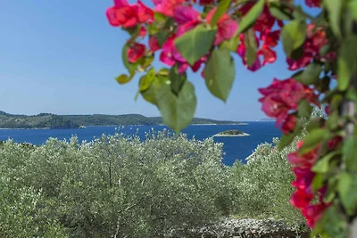 Entspannte Auszeit in Vela Luka mit Meerblick