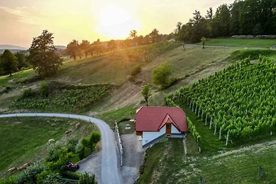 Ferienhaus auf dem Weinberghügel in der Nähe 