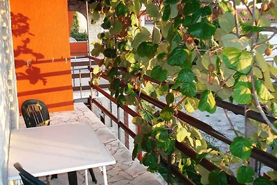 Appartamento Vacanza con famiglia Krnica