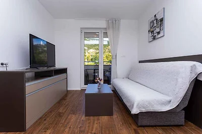 Ferienwohnung mit Klimaanlage und Balkon