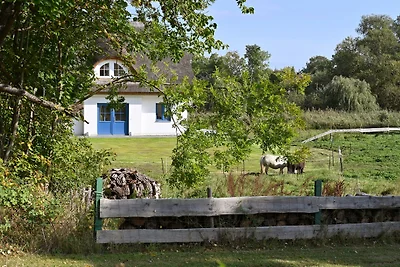 Casa vacanze Vacanza di relax Poseritz