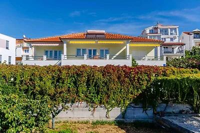 Gemütliche Unterkunft Palm Tree in Okrug