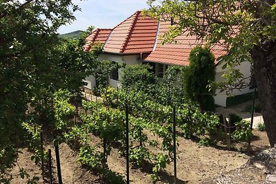 Ferienhaus mit Garten nur 50 m vom Zentrum