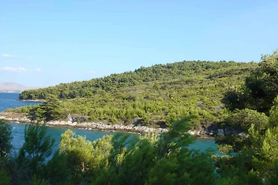 Ferienwohnung 50 m zum Meer