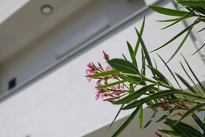 Ferienwohnung 200 m vom Meer entfernt