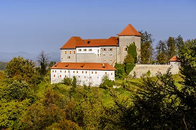Domek letniskowy Urlop wypoczynkowy Loka pri Zusmu