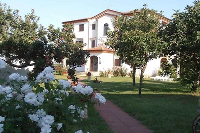 Studio mit Grill und Parkplatz