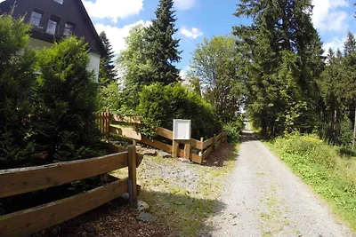 Appartamento Vacanza con famiglia Winterberg