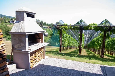 Ferienhaus Weingut mit Internet