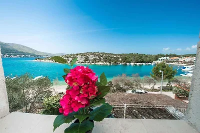 Appartamento Vacanza con famiglia Grebaštica