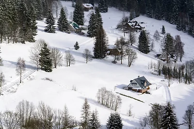 Ferienwohnung in guter Skilage