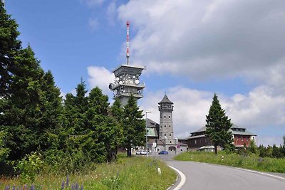 Ferienwohnung in Erzgebirge mit Möglichkeit