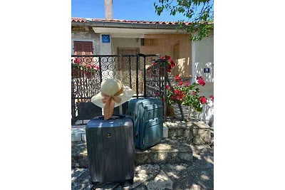Ferienhaus mit Swimmingpool umgeben von Natur