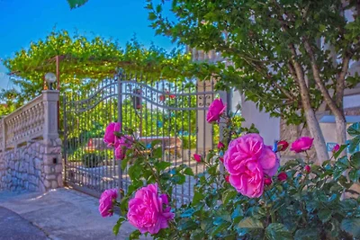 Appartamento Vacanza con famiglia Novi Vinodolski