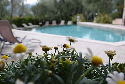 Ferienwohnung Mit Terasse und Pool