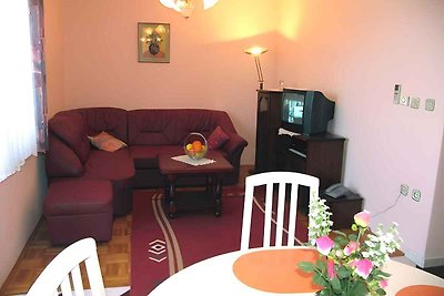 Vakantieappartement Gezinsvakantie Pašman, Tkon