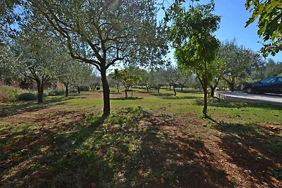 Ferienwohnung mit Terrasse und Klimaanlage
