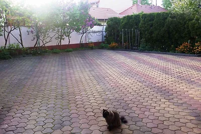 Studio in einer ruhigen Strasse in