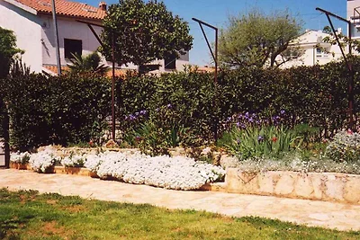Ferienwohnung mit grossem Garten