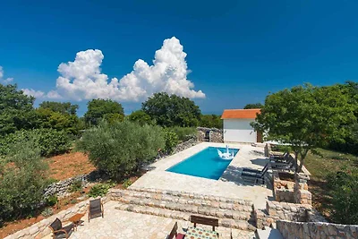 Ferienhaus mit Pool für 8 Personen