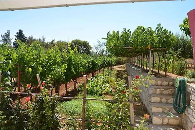 Ferienwohnung mit Ausblick zum Meer