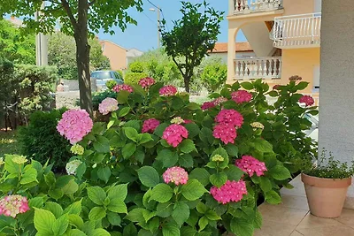 Ferienwohnung mit Klimaanlage