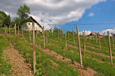 Ferienhaus im Weinberg